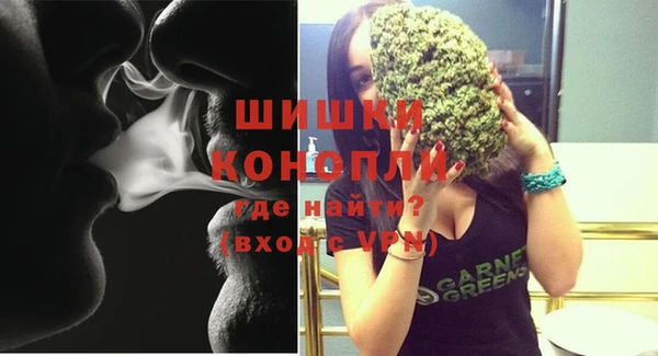 шишки Беломорск