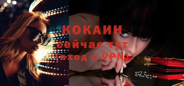 шишки Беломорск