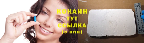 шишки Беломорск