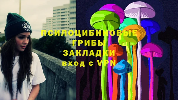 шишки Беломорск