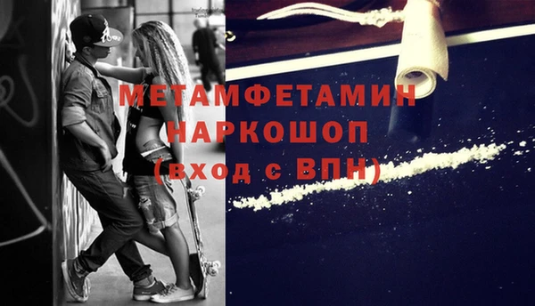 шишки Беломорск