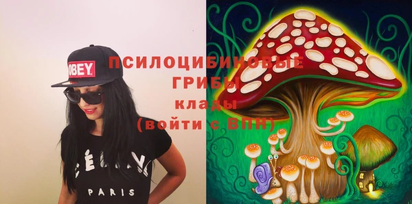 шишки Беломорск