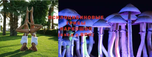 шишки Беломорск