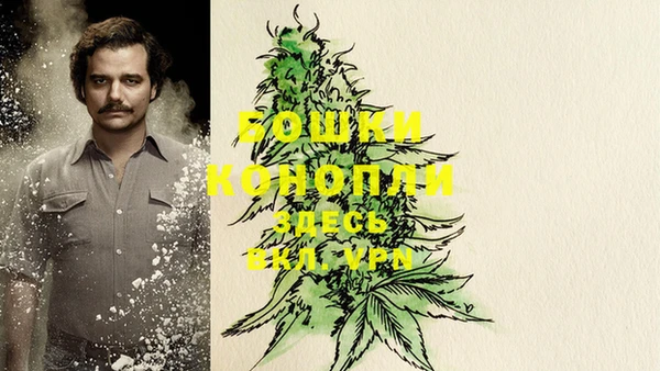 шишки Беломорск