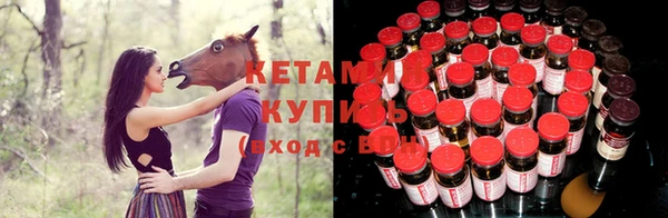 шишки Беломорск