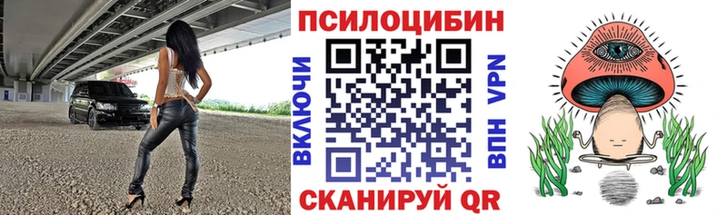 купить  цена  Верхняя Пышма  Псилоцибиновые грибы Magic Shrooms 