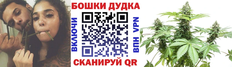 Бошки марихуана марихуана  Верхняя Пышма 